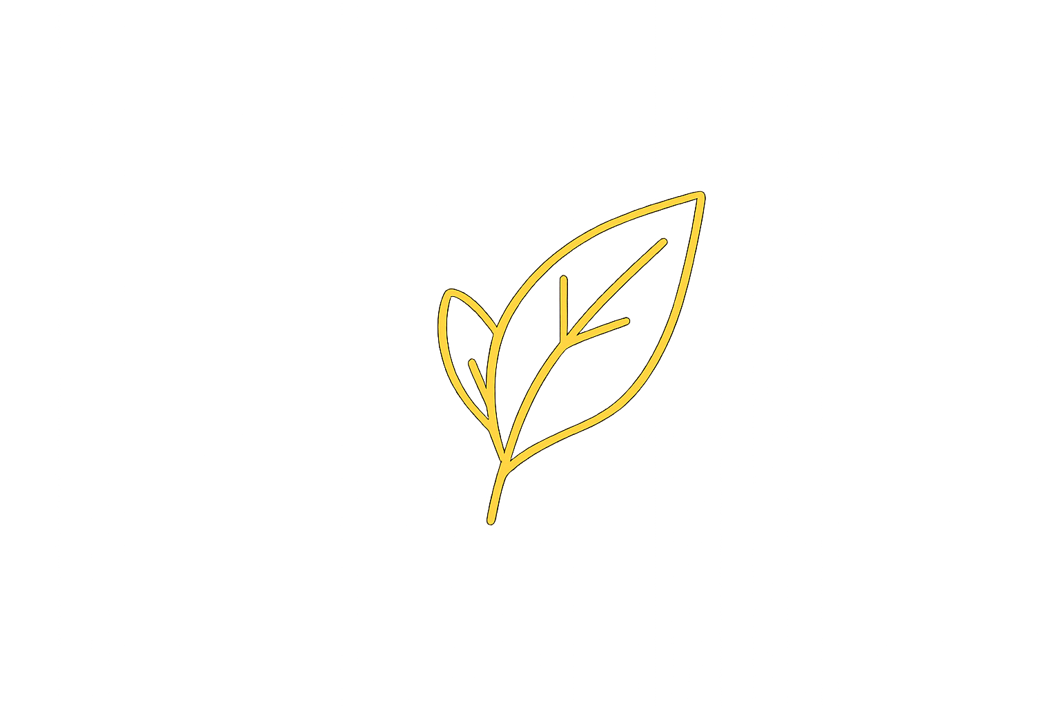 Minimalist gold leaf icon representing nutrition and healthy lifestyle support